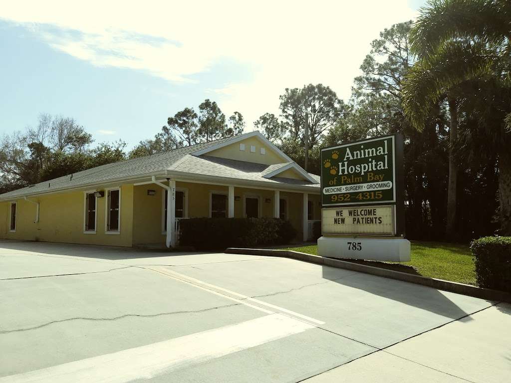Animal Hospital of Palm Bay | 785 Jupiter Blvd NW, Palm Bay, FL 32907, USA | Phone: (321) 952-4315