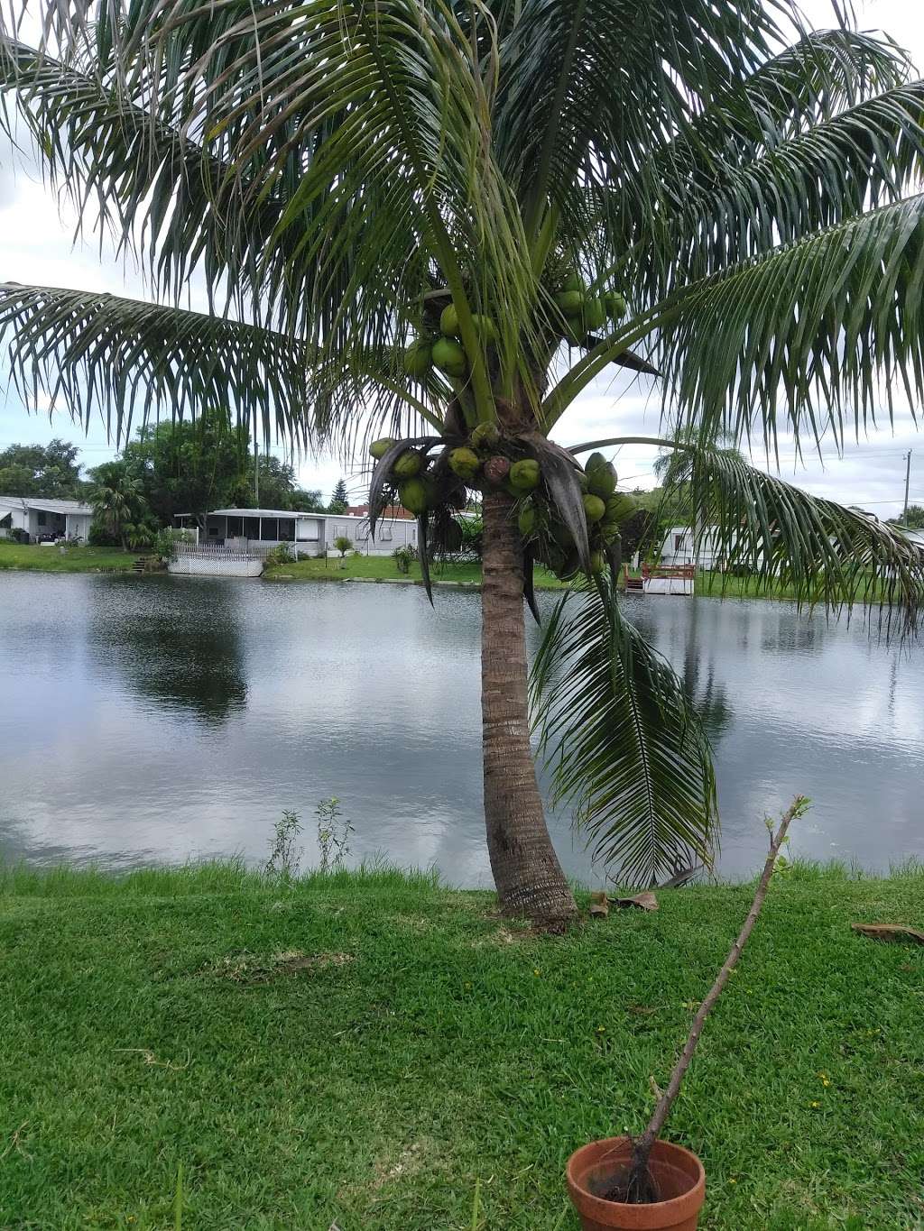 Real Estate Investments & Acquisitions, Inc | 8490 W. State Road 84, Davie, FL 33324, USA | Phone: (754) 333-1708