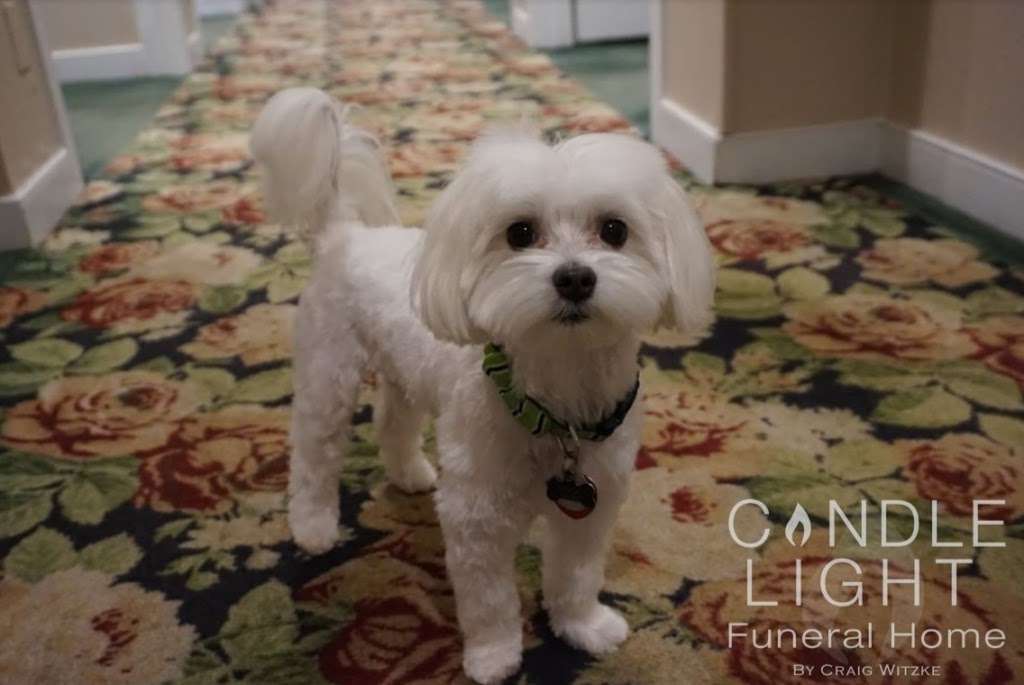 Candle Light Funeral Home by Craig Witzke 1835 Frederick Rd