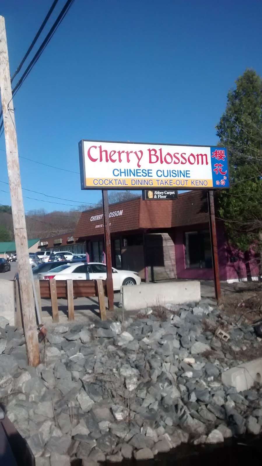 Cherry Blossom | 80 Union St, Ashland, MA 01721, USA | Phone: (508) 881-8222