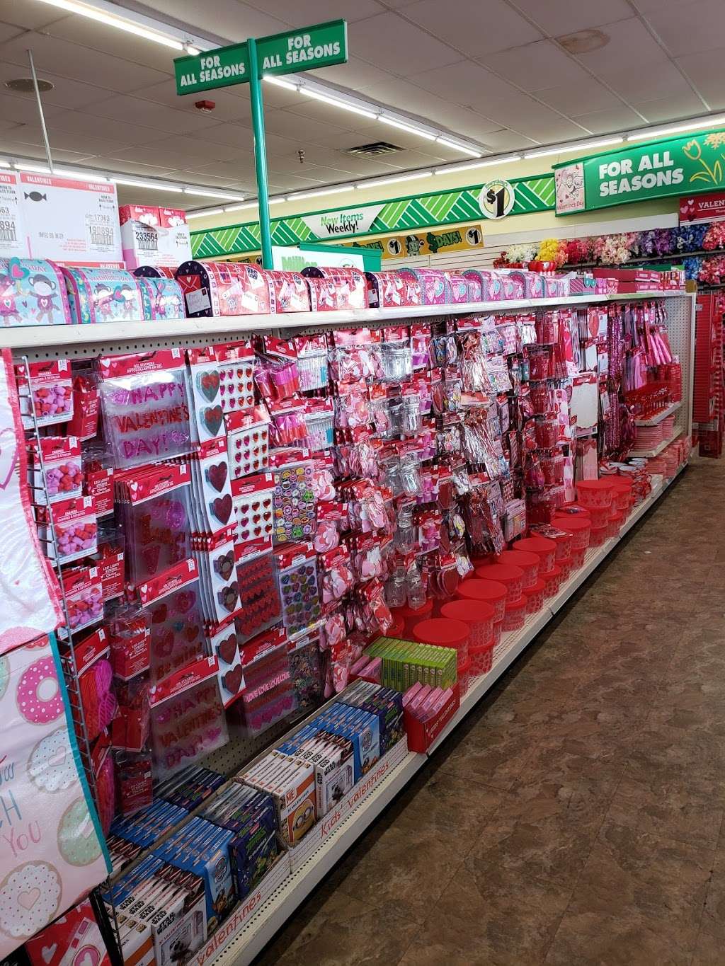 Dollar Tree | 880 NE 125th St, North Miami, FL 33161, USA | Phone: (786) 264-0133