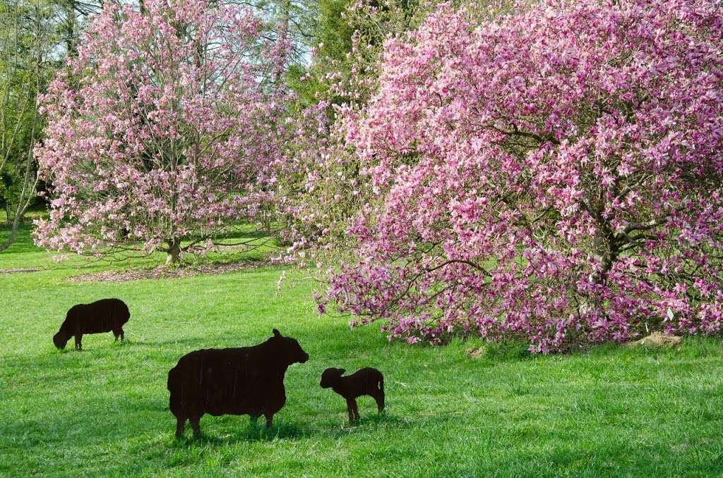 Morris Arboretum of the University of Pennsylvania | 100 E Northwestern Ave, Philadelphia, PA 19118, USA | Phone: (215) 247-5777