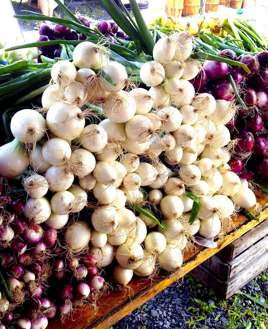 Florida NY Farmers Market | Florida, NY 10921, USA | Phone: (845) 772-2662