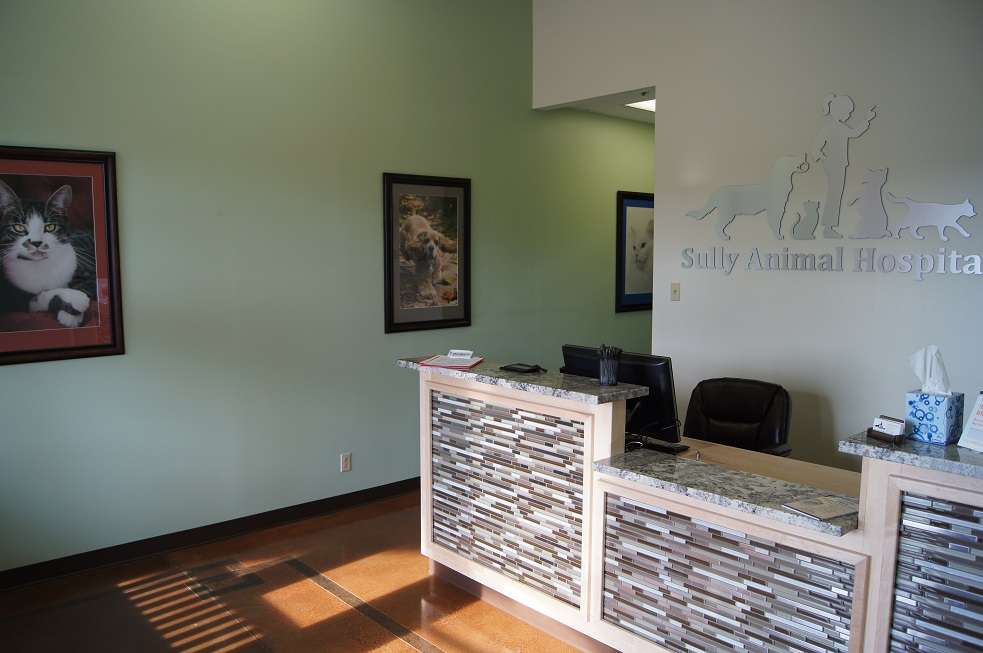 Sully Animal Hospital | 5095 Westfields Blvd, Centreville, VA 20120 | Phone: (703) 956-6290