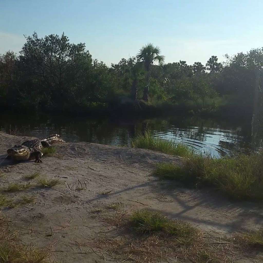 Biolab Boat Ramp | Marguerite, Florida, USA