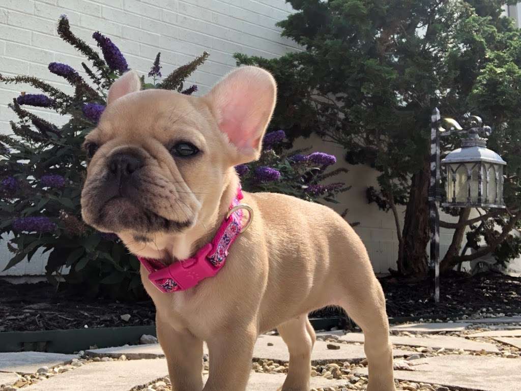 Bloomington Veterinary Hospital in 115 N Smith Rd, Bloomington, IN