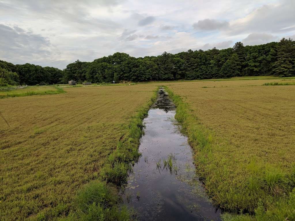 The Nature Trail and Cranberry Bog | 252 Patriot Pl, Foxborough, MA 02035, USA