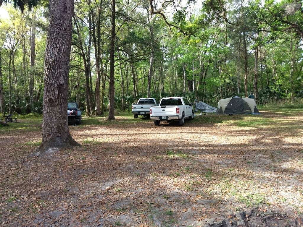 McNeil Group Campground | Dade City, FL 33525