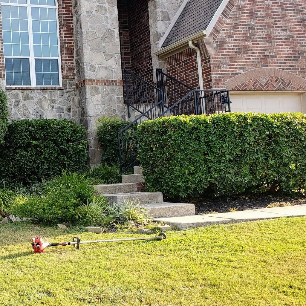 Divergent SATX Lawn Care & Critter Removal | 4969 N Stahl Park, San Antonio, TX 78217, USA | Phone: (210) 741-6677