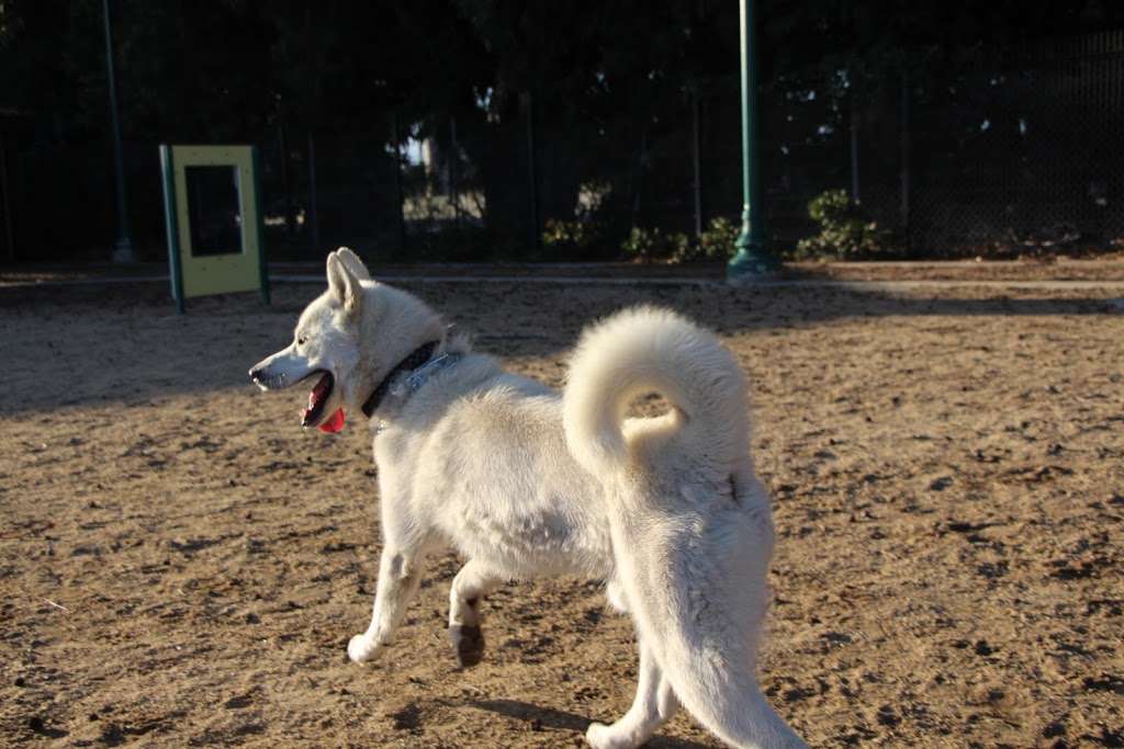 College Dog Park | 3200 S Rose Ave, Oxnard, CA 93033