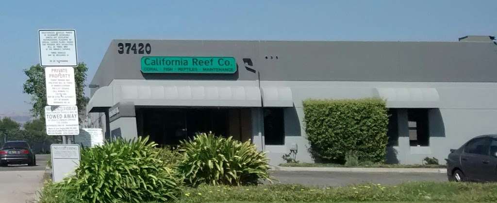 California Reef Co. | 37420 Cedar Blvd a, Newark, CA 94560, USA | Phone: (510) 509-2537