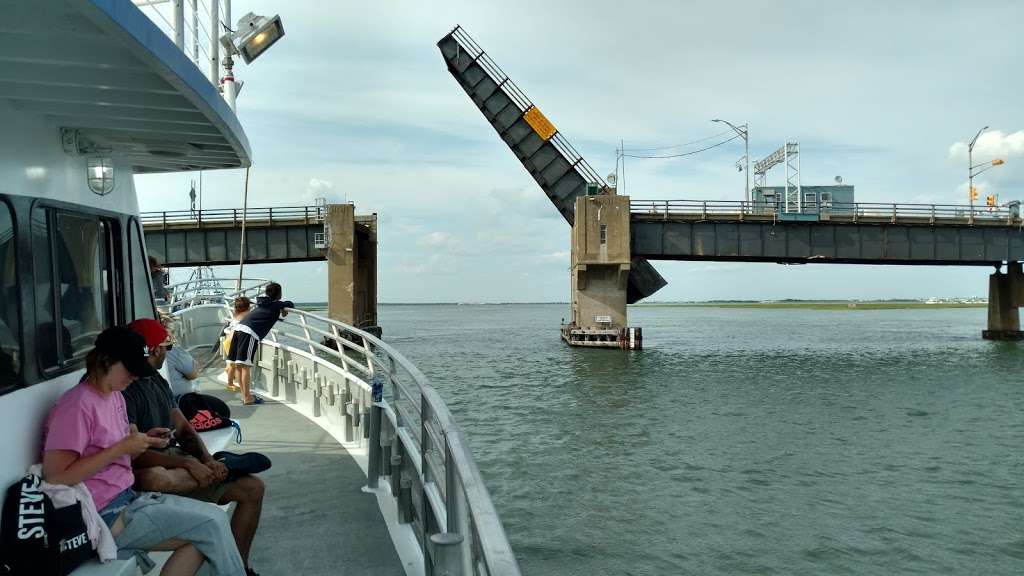 Thunder Cat Dolphin Watch & Speedboat Tours | 1001 Ocean Dr, Wildwood Crest, NJ 08260, USA | Phone: (609) 523-2628