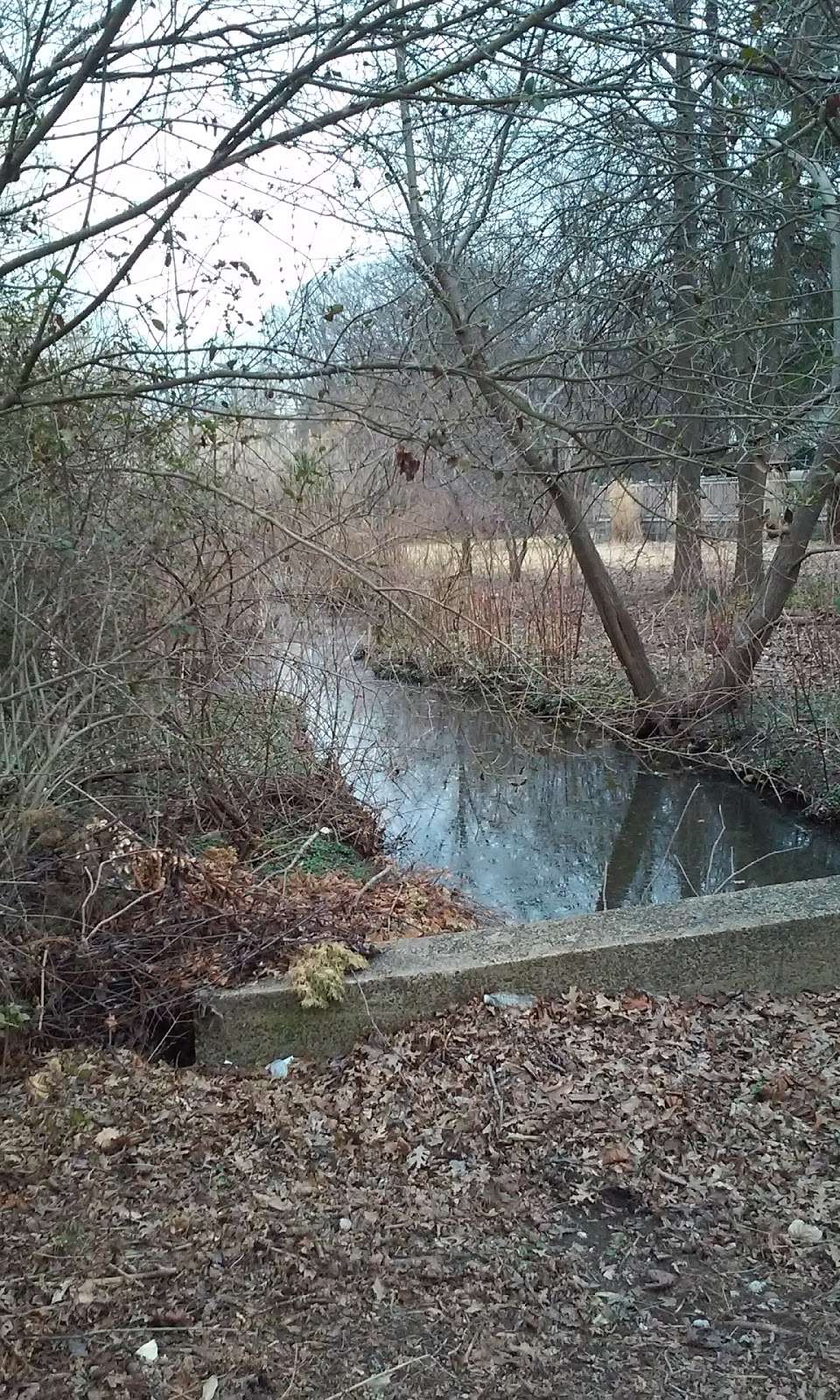 Bloessers Pond State Wetland Conservation Area | Staten Island, NY 10309