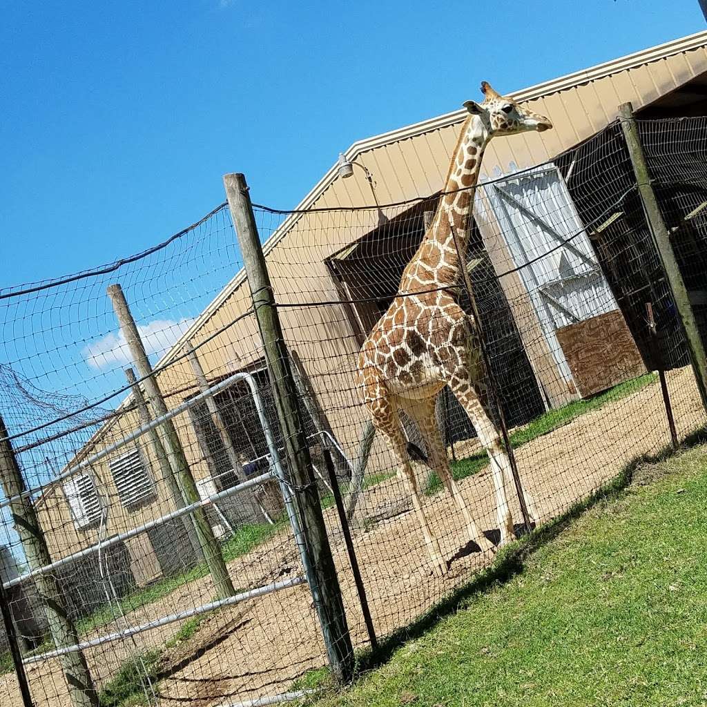 Bayou Wildlife Zoo | 5050 FM517, Dickinson, TX 77539, USA | Phone: (281) 337-6376
