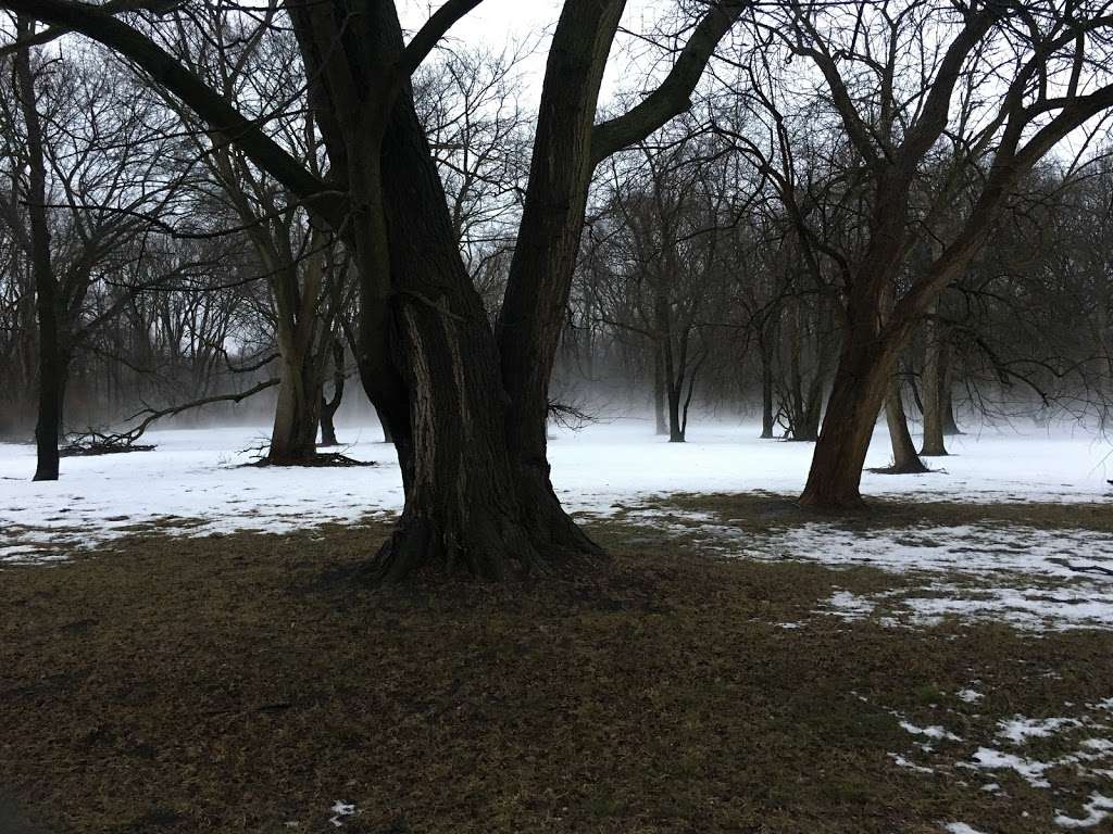 Mount Forest Cemetery | Thornton, IL 60476, USA