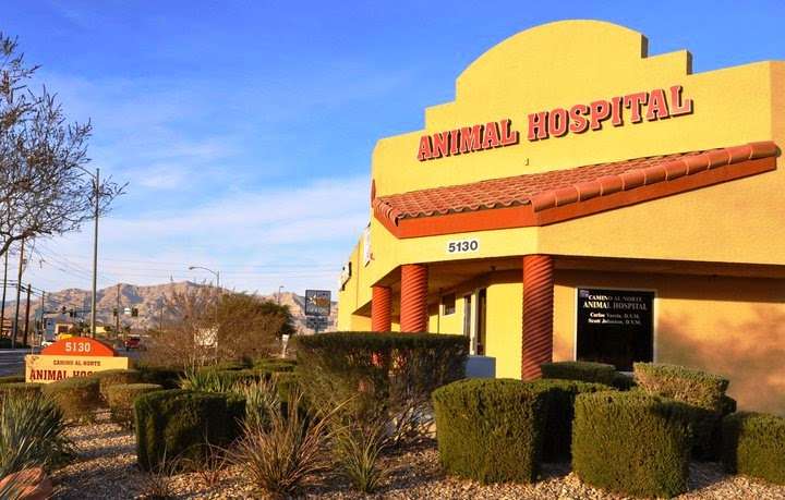 Camino Al Norte Animal Hospital | 5130 Camino Al Norte, North Las Vegas, NV 89031, USA | Phone: (702) 304-8387
