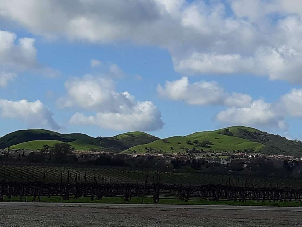Del Valle to Shadow Cliffs | 750 E Vineyard Ave, Livermore, CA 94550, USA