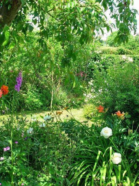 The Tree Garden Kent | 334 Stangate Rd, Birling, West Malling ME19 5JL, UK | Phone: 01634 245805