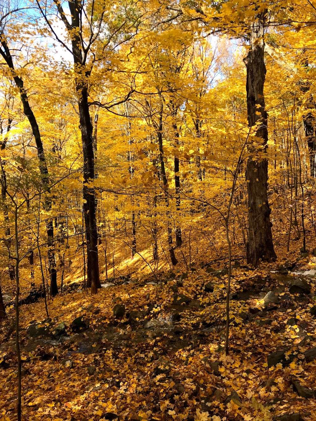 Sugarloaf Mountain Trailhead | Wilkinson Memorial Trail, Beacon, NY 12508, USA