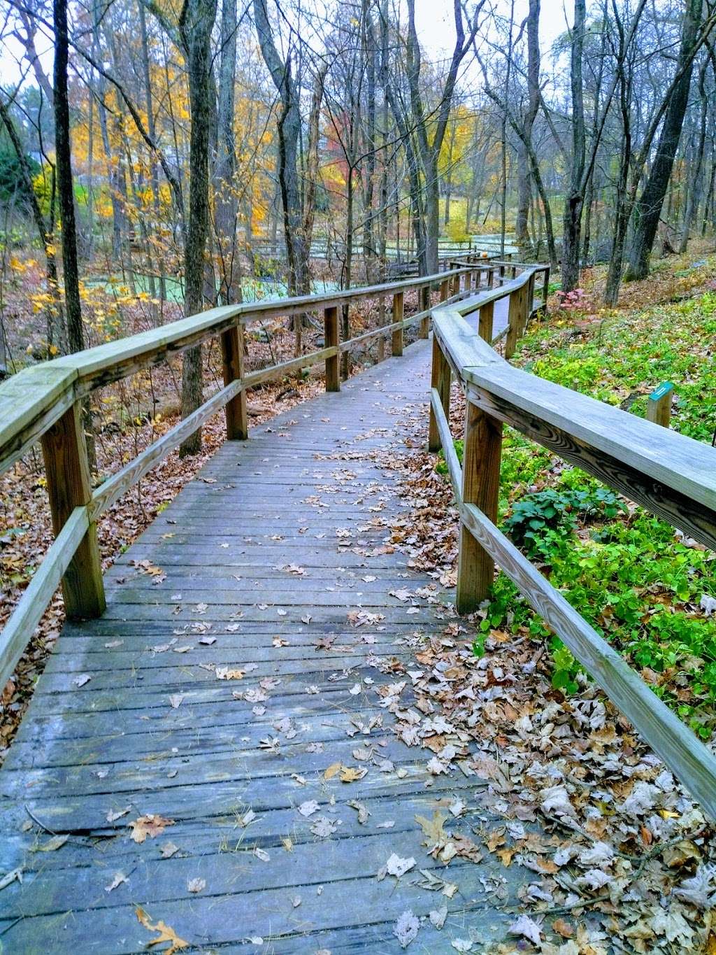 Acton Arboretum | 2 Taylor Rd, Acton, MA 01720, USA | Phone: (978) 264-9631