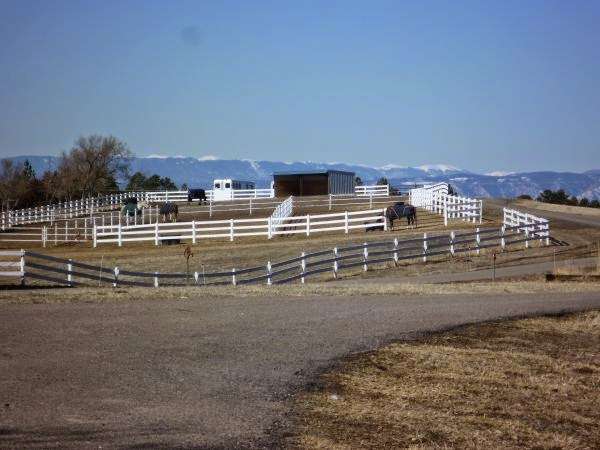 Millbrook Equestrian - Horseback Riding Lessons | 40273 Co Rd 13, Elizabeth, CO 80107, USA | Phone: (303) 898-3376