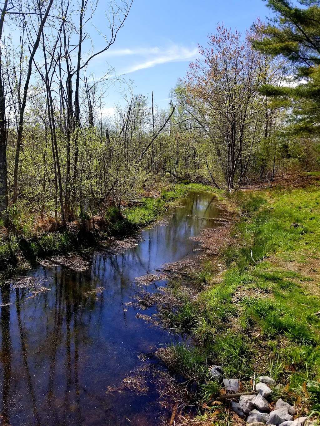 Lincoln Woods State Park | 2 Manchester Print Works Rd, Lincoln, RI 02865, USA | Phone: (401) 723-7892