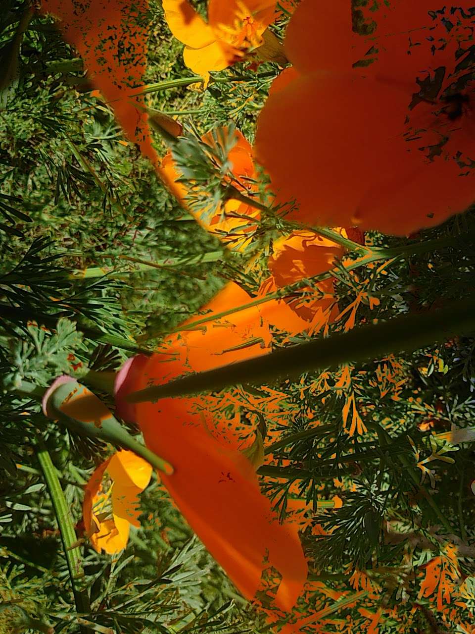 Krueger Gallery | 515 Madre St, Pasadena, CA 91107, USA | Phone: (626) 793-5724 Krueger Gallery | 515 Madre St, Pasadena, CA 91107, USA | Phone: (626) 793-5724