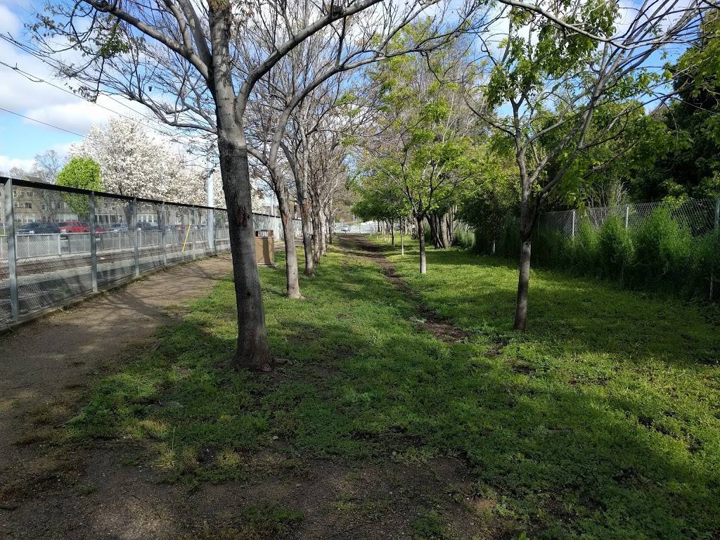 Discovery Dog Park | 410 Park Ave, San Jose, CA 95110, USA | Phone: (408) 535-3570