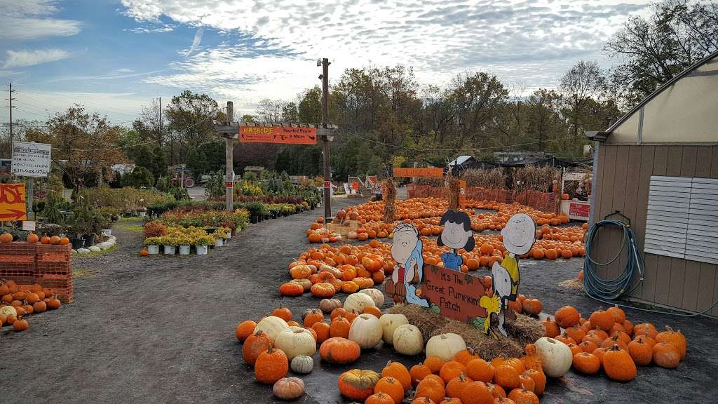 Colonial Gardens Florist 745 Schuylkill Rd Phoenixville Pa