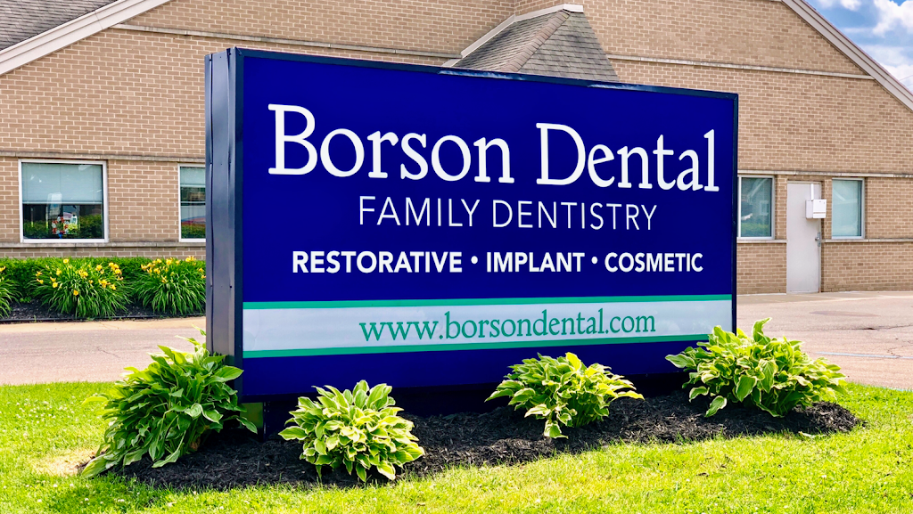 Borson Dental | 1865 Coolidge Hwy, Berkley, MI 48072, United States | Phone: (248) 494-4327