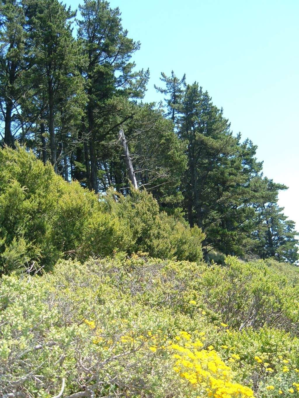 Headlands Lookout | Sausalito, CA 94965, USA