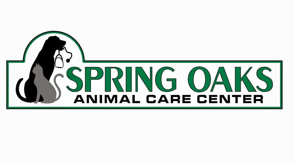 Spring Oaks Animal Care Center | 152 McGregor Rd, DeLand, FL 32720, USA | Phone: (386) 736-6747