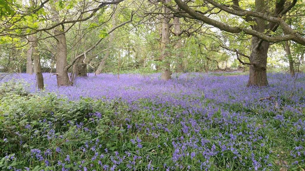 St Mary & All Saints Church | High Rd, Langdon Hills SS16 6HY, UK | Phone: 01268 490400