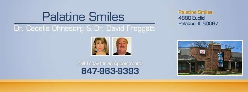 Palatine Smiles Dental Center , Dr. David Froggatt , Dr.Cecelia  | 4880 Euclid Ave # 105, Palatine, IL 60067, USA | Phone: (847) 963-9393