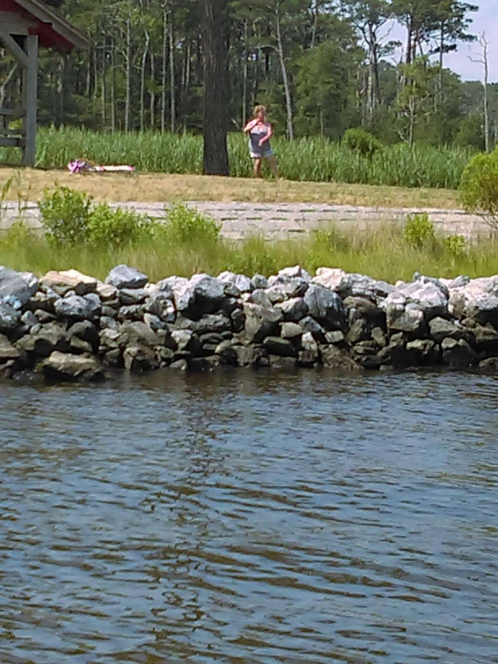 Assawoman Wildlife Area | Delaware, USA