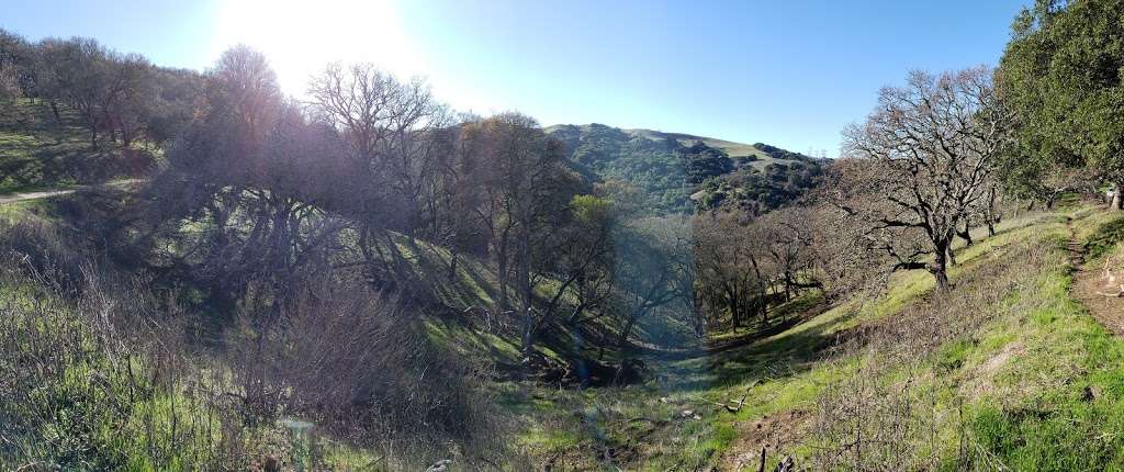 Briones Road Staging Area, Briones Regional Park | 1289-1101 Briones Rd, Martinez, CA 94553