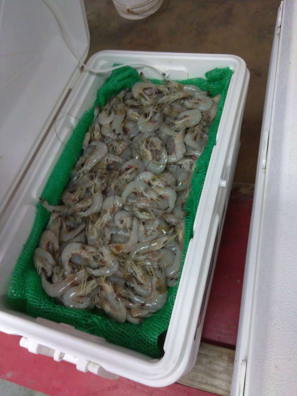 Lees Bait & Tackle | 230 Dike Rd, Texas City, TX 77590, USA | Phone: (409) 945-5675