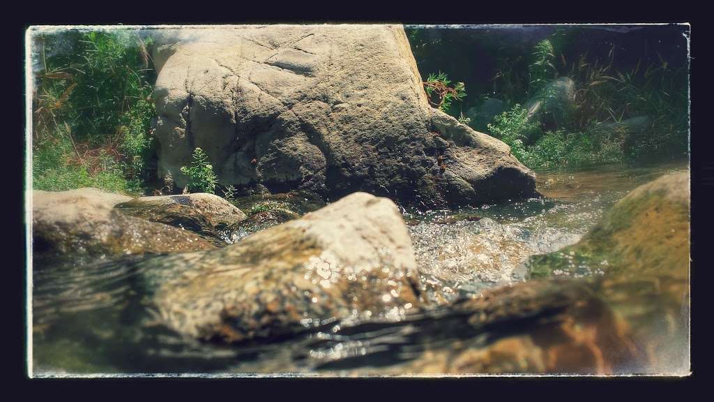 Sycamore Flat Campground | Pearblossom, CA 93553, USA