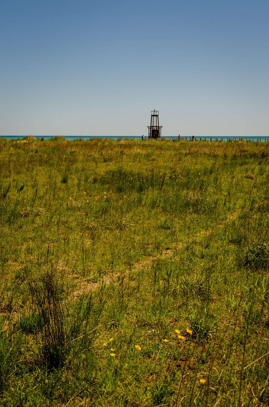 Loyola Dune Habitat | Chicago, IL 60626, USA