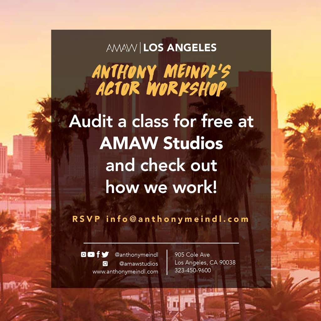 Anthony Meindls Actor Workshop | 905 Cole Ave, Los Angeles, CA 90038, USA | Phone: (323) 450-9600