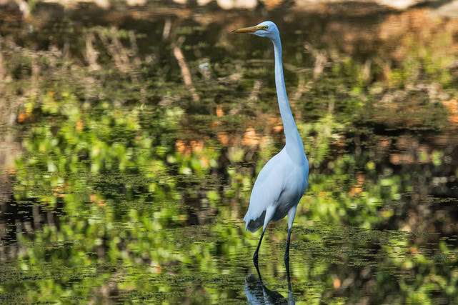 Bulverde Oaks Nature Preserve | 17480 Judson Rd, San Antonio, TX 78247, USA | Phone: (210) 222-8430