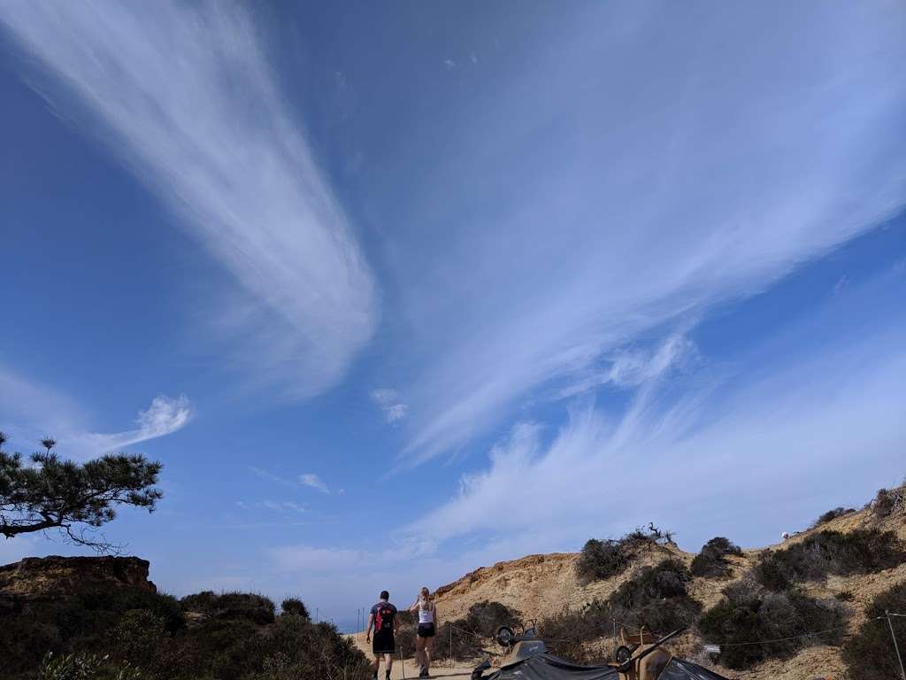 Torrey Pines Reserve Lodge and Visitor Center | N Torrey Pines Rd, La Jolla, CA 92037, USA | Phone: (858) 755-2063