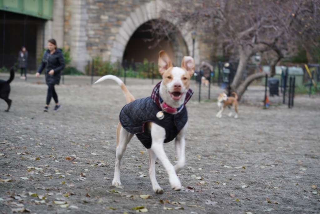 Riverside Park South Dog Run | Hudson River Greenway, New York, NY 10069, USA