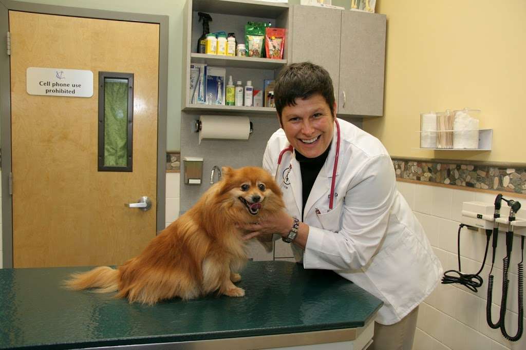 Valley Cottage Animal Hospital | 202 NY-303, Valley Cottage, NY 10989, USA | Phone: (845) 268-9263