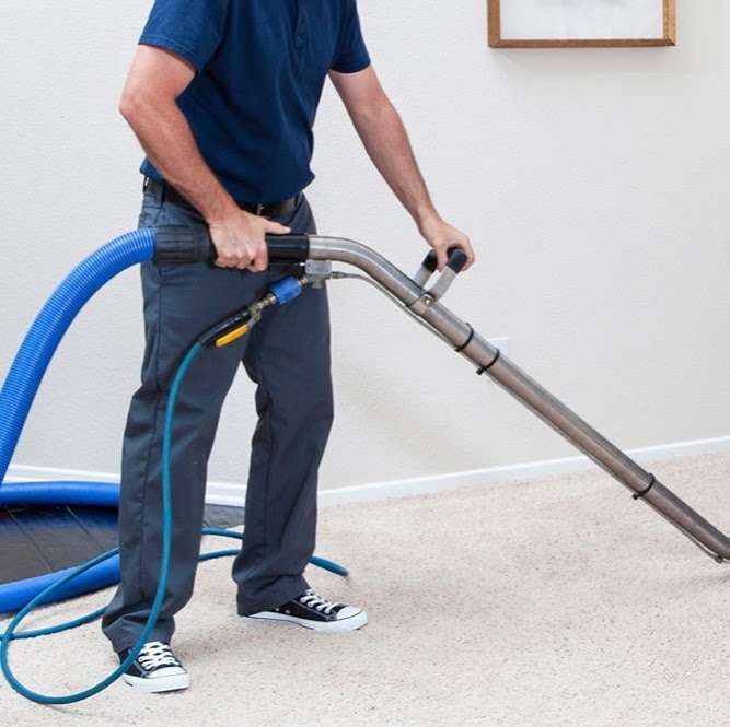 ORGANIC Coit Carpet Cleaning South Gate CA | South Gate, CA, USA | Phone: (772) 213-1329