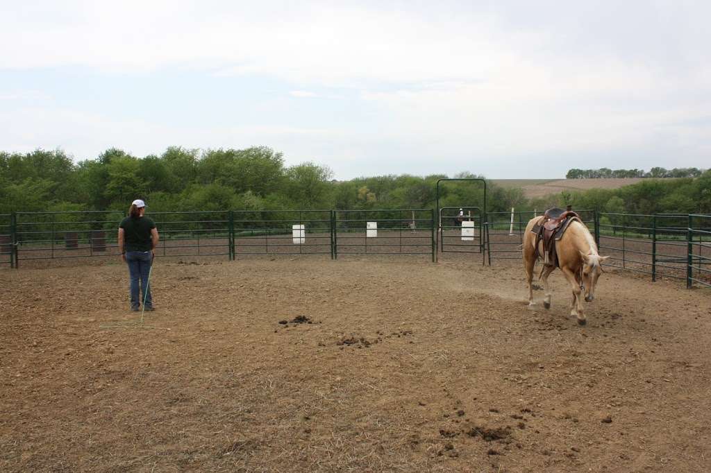 Rafter B Ranch LLC | 2221 US-73, Hiawatha, KS 66434, USA | Phone: (785) 250-8553