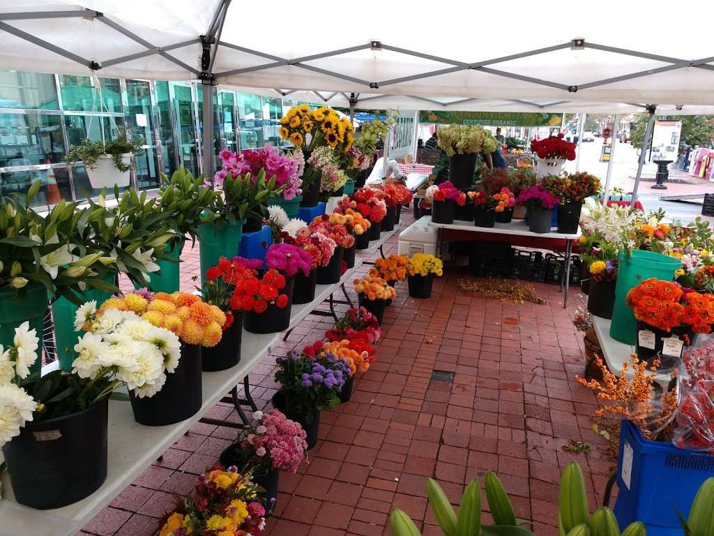 Plant Masters | 22617 Griffith Dr, Gaithersburg, MD 20882, USA | Phone: (301) 253-0903