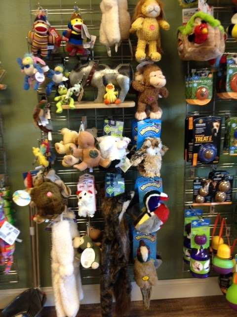 Family Petcare Store | 181 San Marin Dr, Novato, CA 94945, USA | Phone: (415) 897-2079