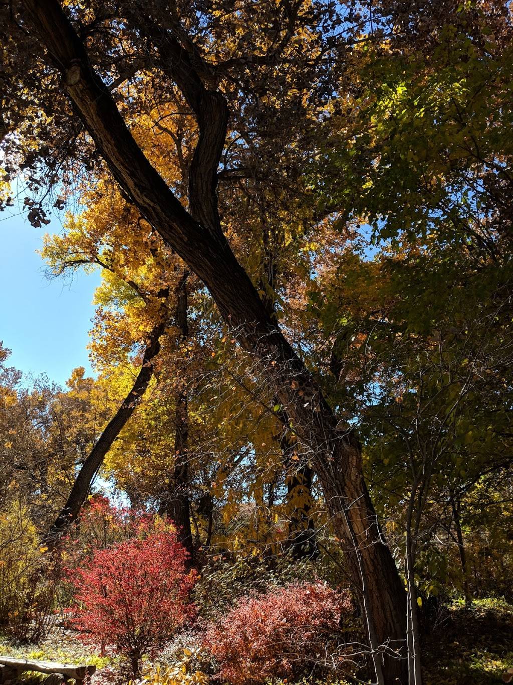 Sasebo Japanese Garden at ABQ Biopark | 2601 Central Ave NW, Albuquerque, NM 87104 | Phone: (505) 768-2000