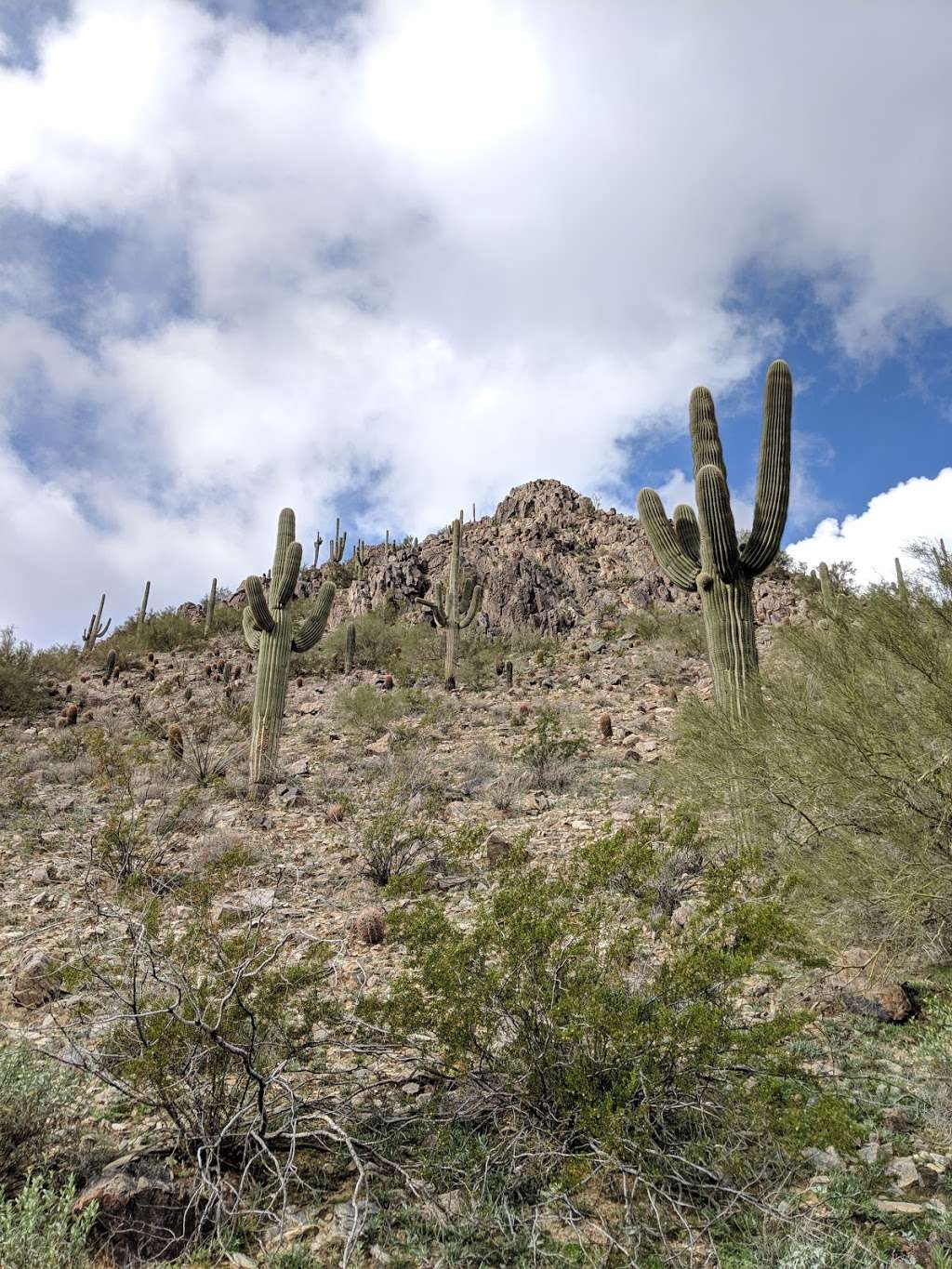 Phoenix City Viewpoint | 16402003F, Phoenix, AZ 85018